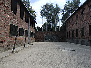 Auschwitz4.jpg