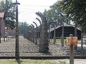 Auschwitz7.jpg